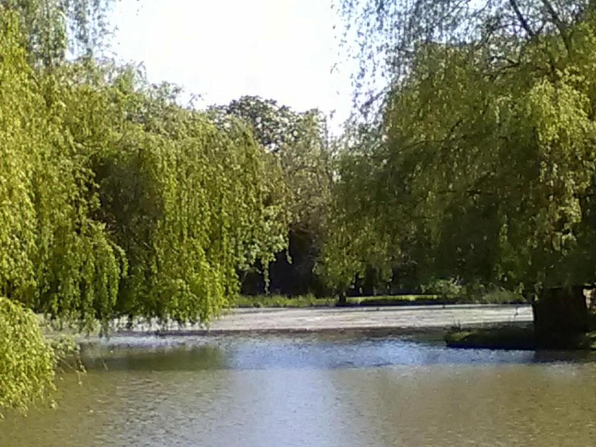 La Lune Lake Joue-en-Charnie المظهر الخارجي الصورة